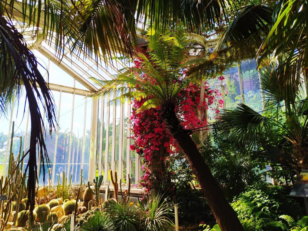 Drake Longchamp - Resim 32