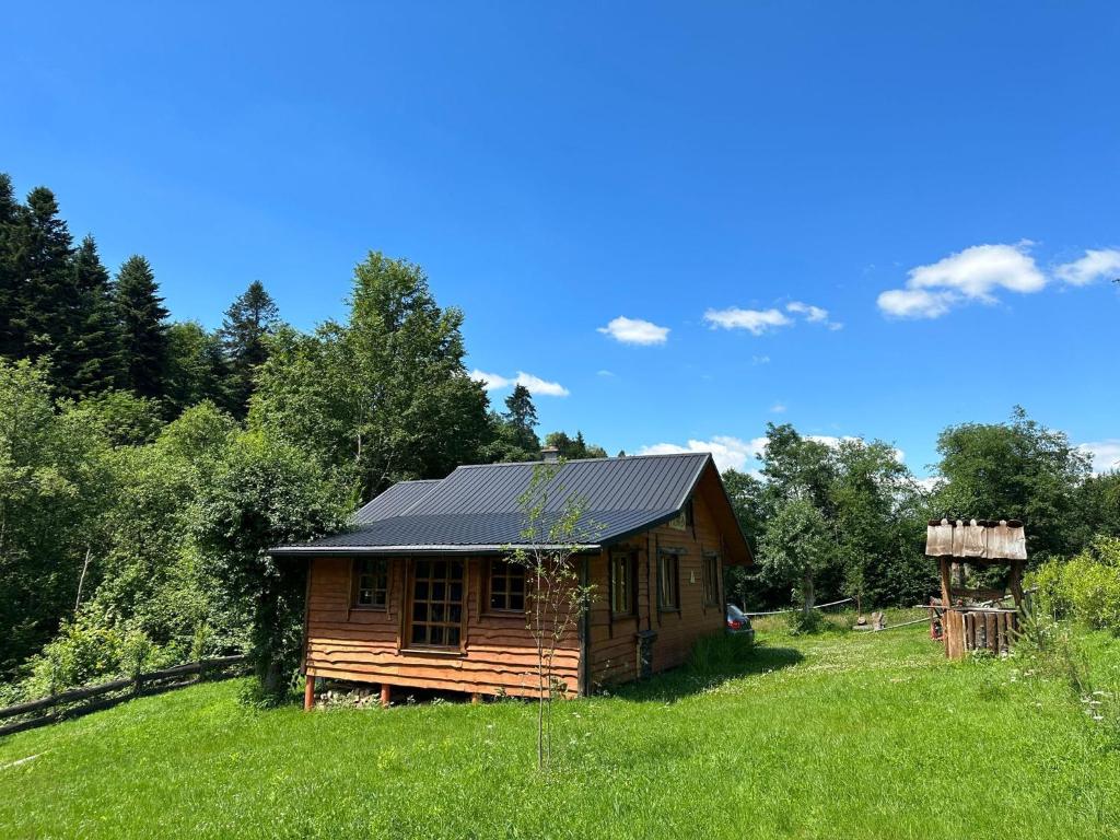 a small wooden cabin in a field of grass at Nad Głuchym Potokiem in Rosochate