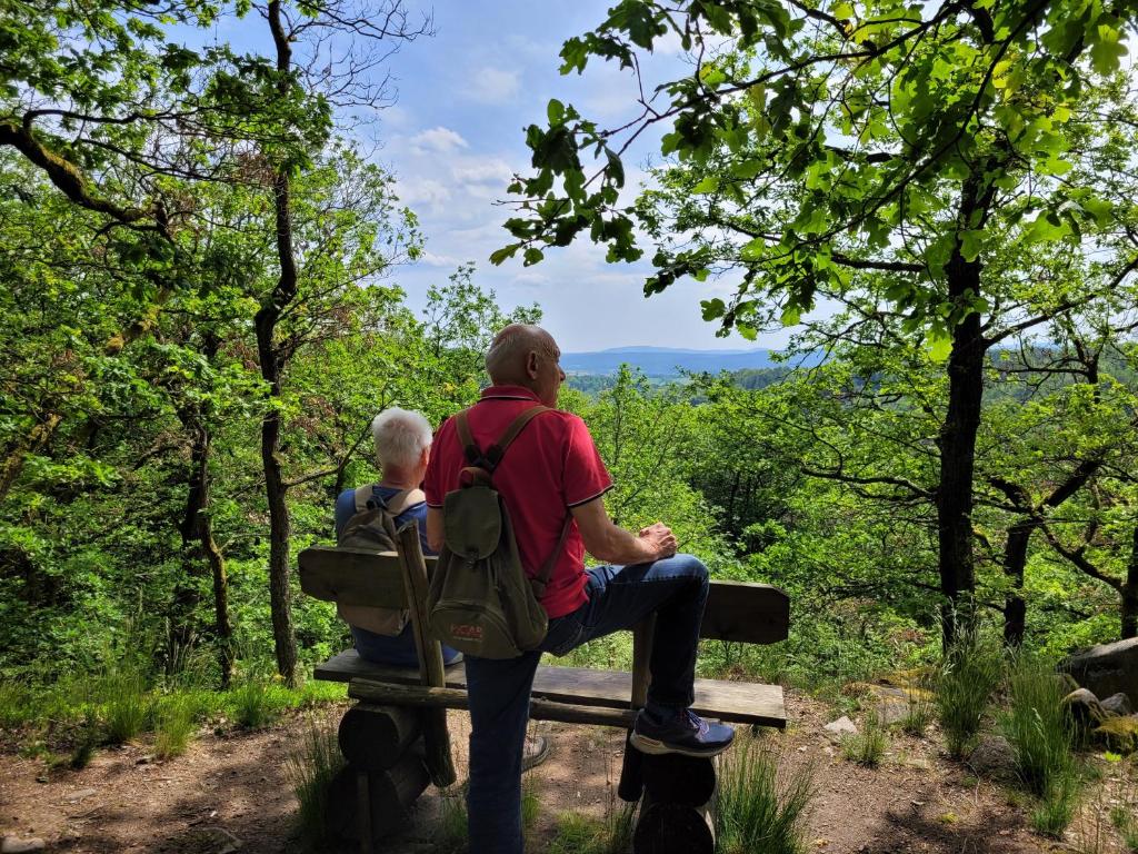 Ein Mann und ein Kind sitzen auf einer Bank im Wald in der Unterkunft Im alten Rathaus in Bad Liebenstein