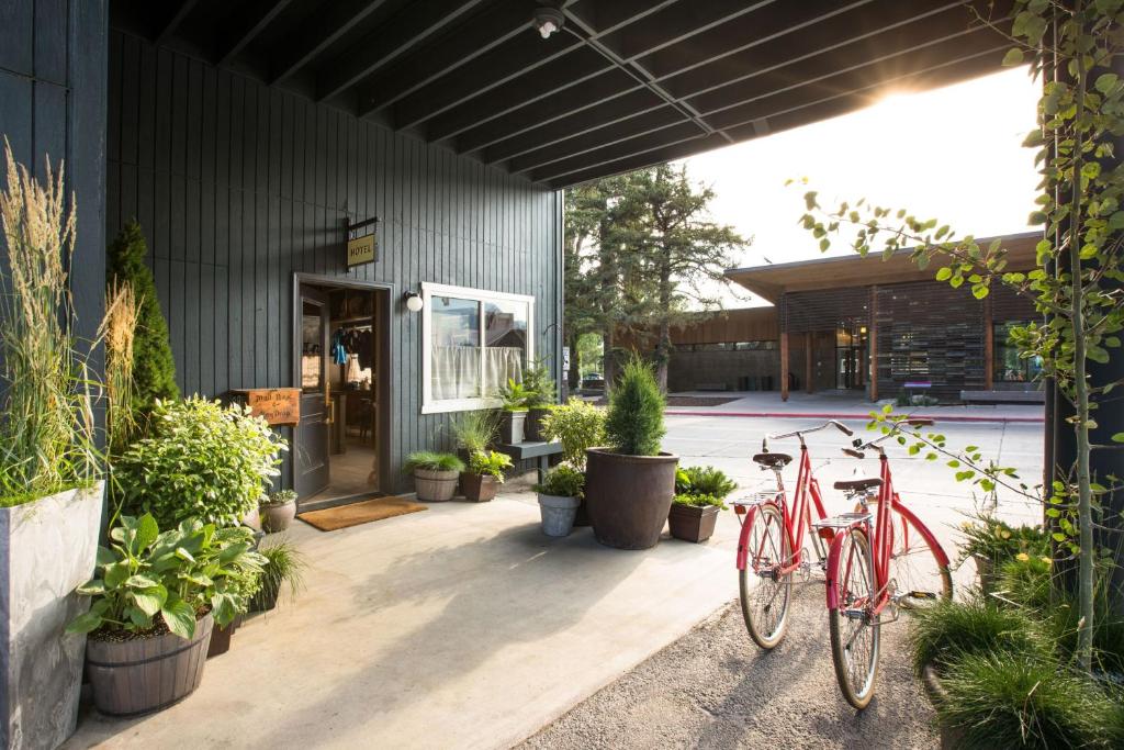zwei Fahrräder, die vor einem Gebäude mit Pflanzen geparkt sind in der Unterkunft Cache House in Jackson