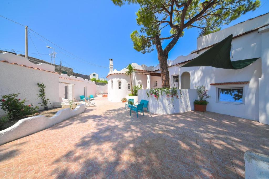 a courtyard with a tree and chairs and a building at Villa Aida in Ischia