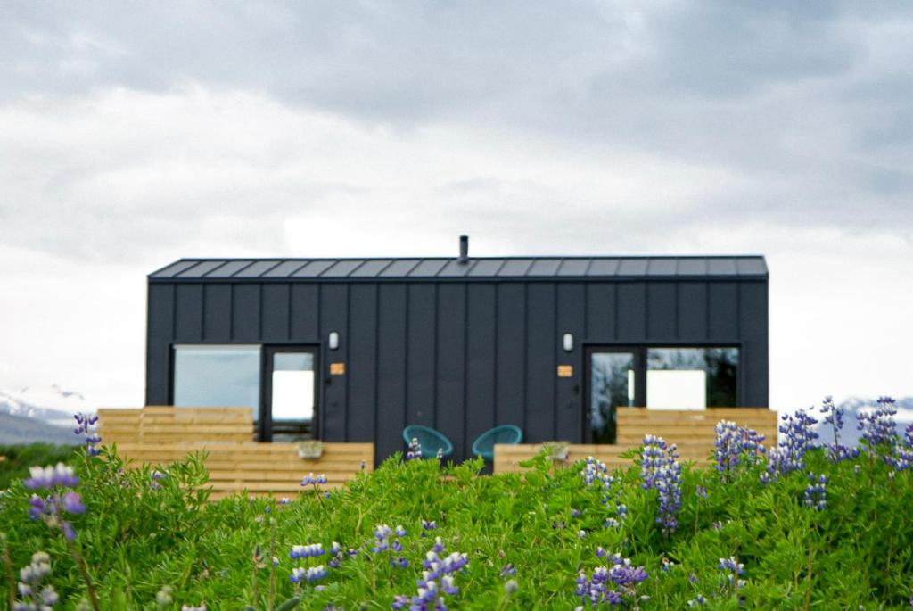 HH Gisting/Guesthouse في Hólmur: منزل صغير أسود في حقل من الزهور