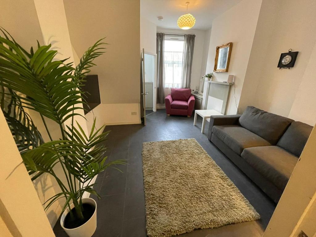 a living room with a couch and a plant at Perfect Home From Home In Stoke on Trent in Etruria