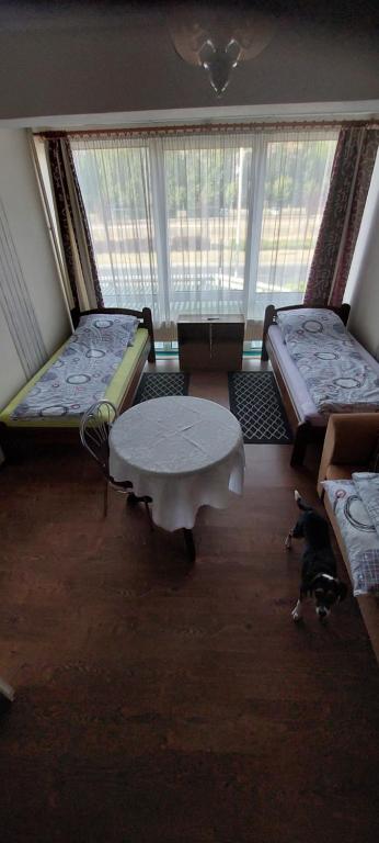 プウォツクにあるPokoje Gościnne HEVENのベッド2台とテーブルが備わる客室です。