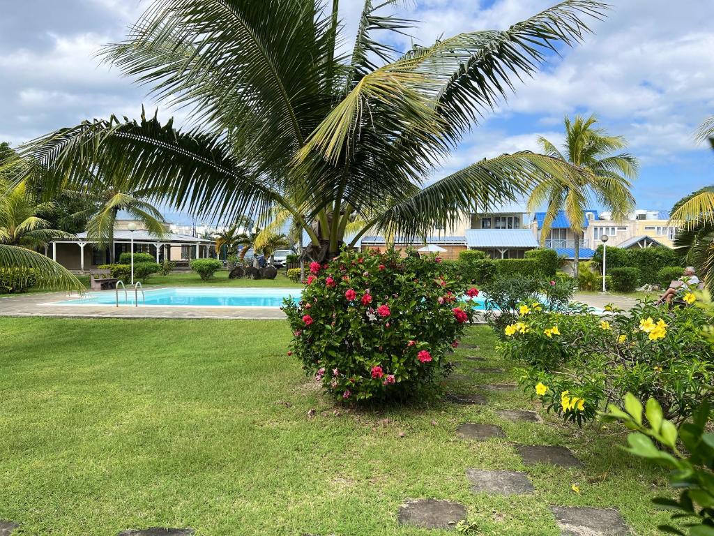 a garden with a palm tree and a swimming pool at Studio at Grand Baie 100 m away from the beach with shared pool furnished terrace and wifi in Grand Baie
