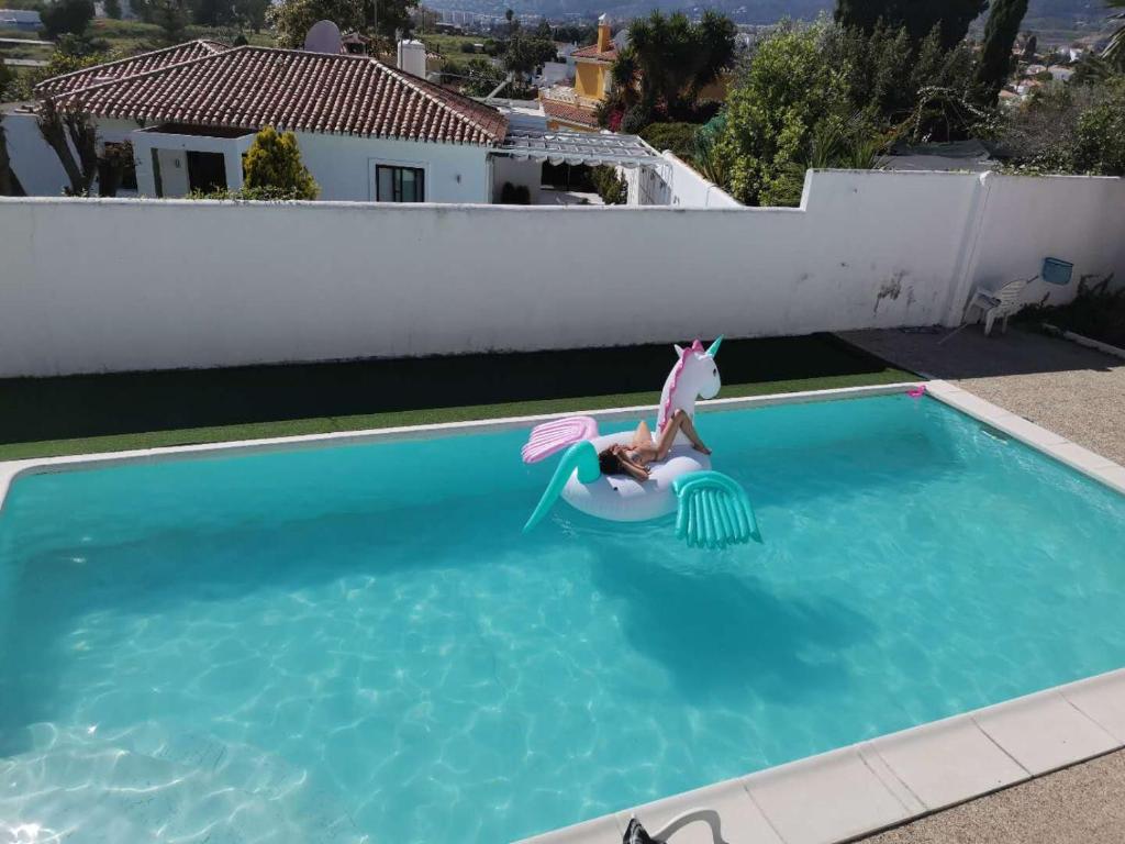 a person is riding a unicorn in a swimming pool at Marbella别墅独立房带泳池 in Marbella