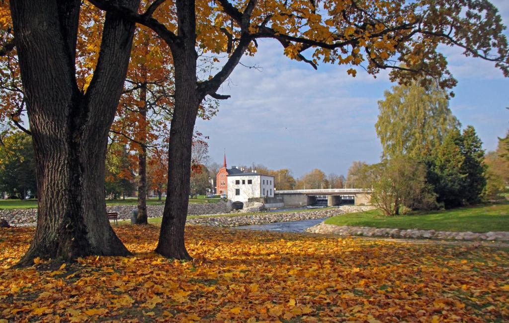 Zahrada ubytování Rivaal Guesthouse-Cafe
