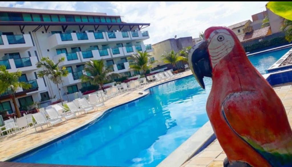 a statue of a parrot next to a swimming pool at Flat 402 Laguna Beach - tipo Loft encantador, mobiliado e aconchegante in Porto De Galinhas