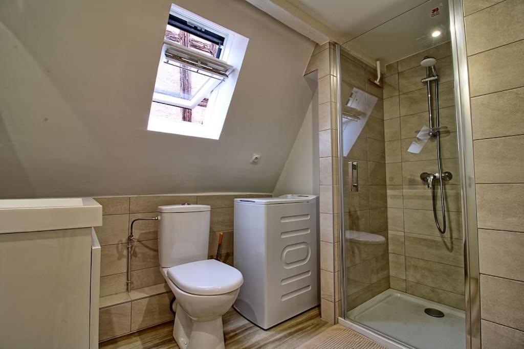 łazienka z toaletą i prysznicem w obiekcie Logement CHEZ ANTHONE - Proche Obernai, logement pour 1 à 5 personnes w mieście Bernardswiller