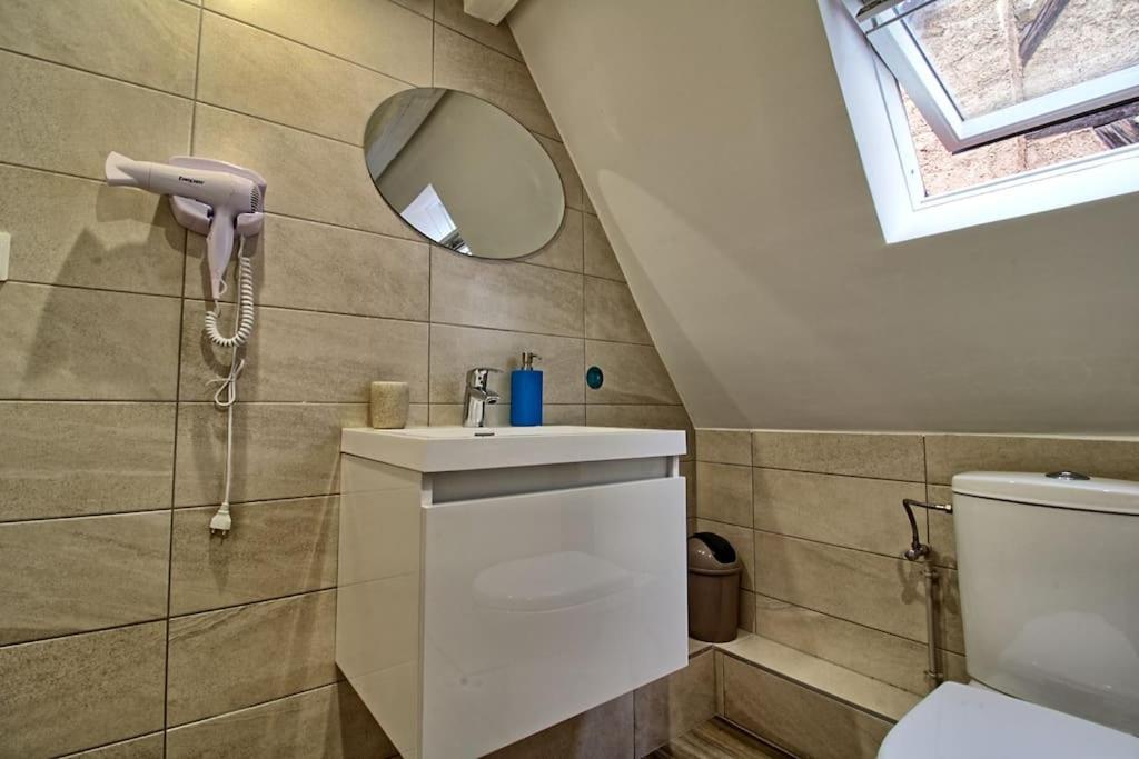 Łazienka w obiekcie Logement CHEZ ANTHONE - Proche Obernai, logement pour 1 à 5 personnes