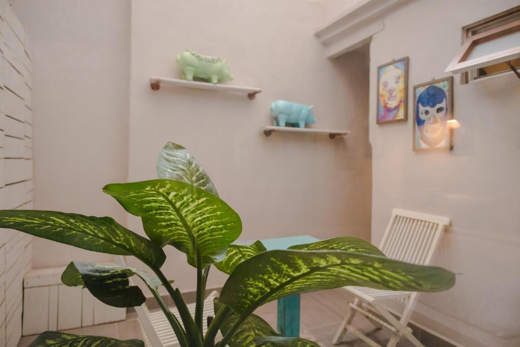 Fotografie z fotogalerie ubytování Hotel Del Portal San Miguel de Allende v destinaci San Miguel de Allende