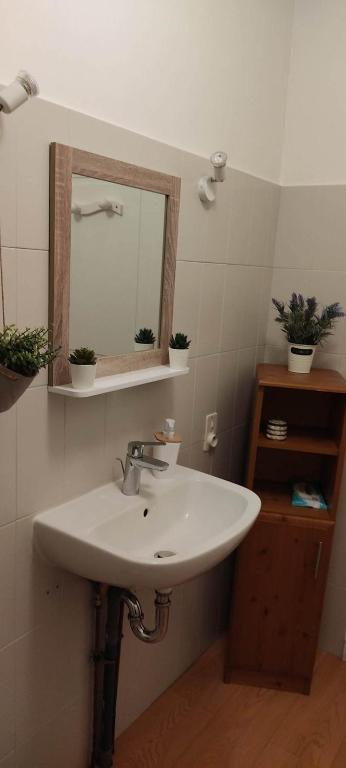 a bathroom with a sink and a mirror at Respire O&#39;Dorat chambres privées dans havre de paix in Le Dorat