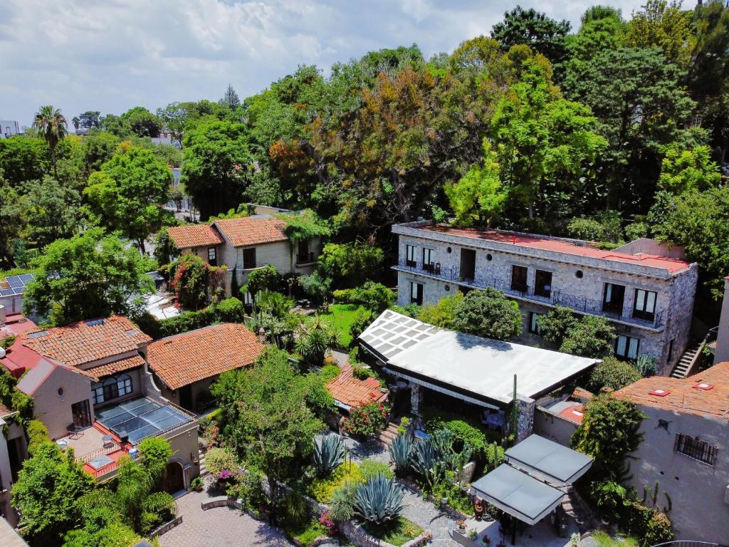 z góry widok na dom z drzewami w obiekcie Casa Liza w mieście San Miguel de Allende