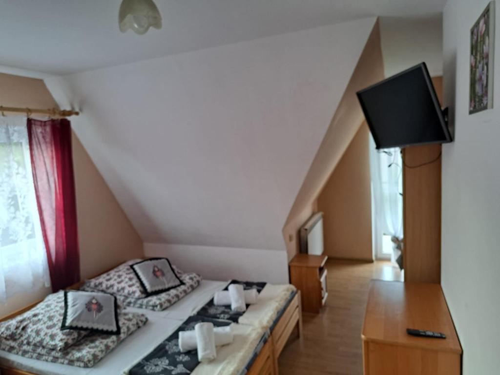 Willa Grzesiczek z widokiem na Tatry - Camera Doppia