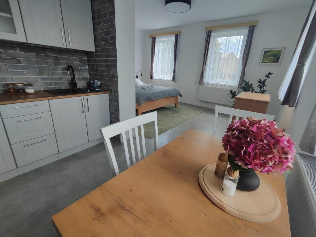 Köök või kööginurk majutusasutuses Apartmány Goliáš