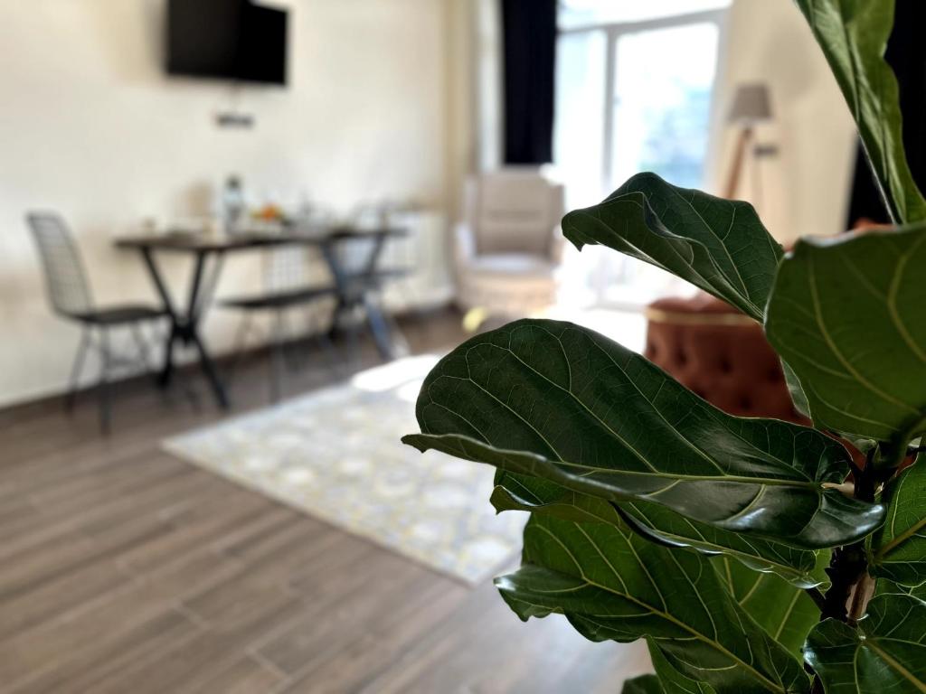 TV a/nebo společenská místnost v ubytování THE SUİT Residence Daire