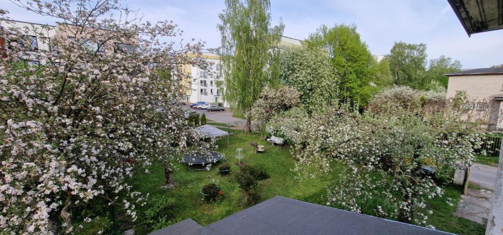 Fotografie z fotogalerie ubytování House&Garden - 3 rooms&Sauna v Tallinnu