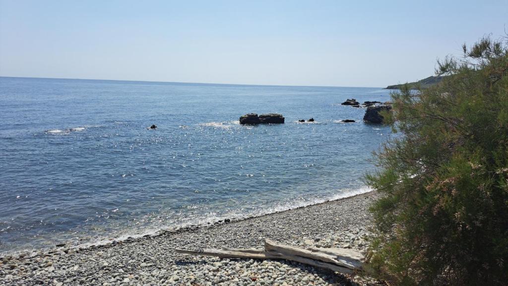 una playa rocosa con rocas en el agua en Sylvan Seas, en Ventnor