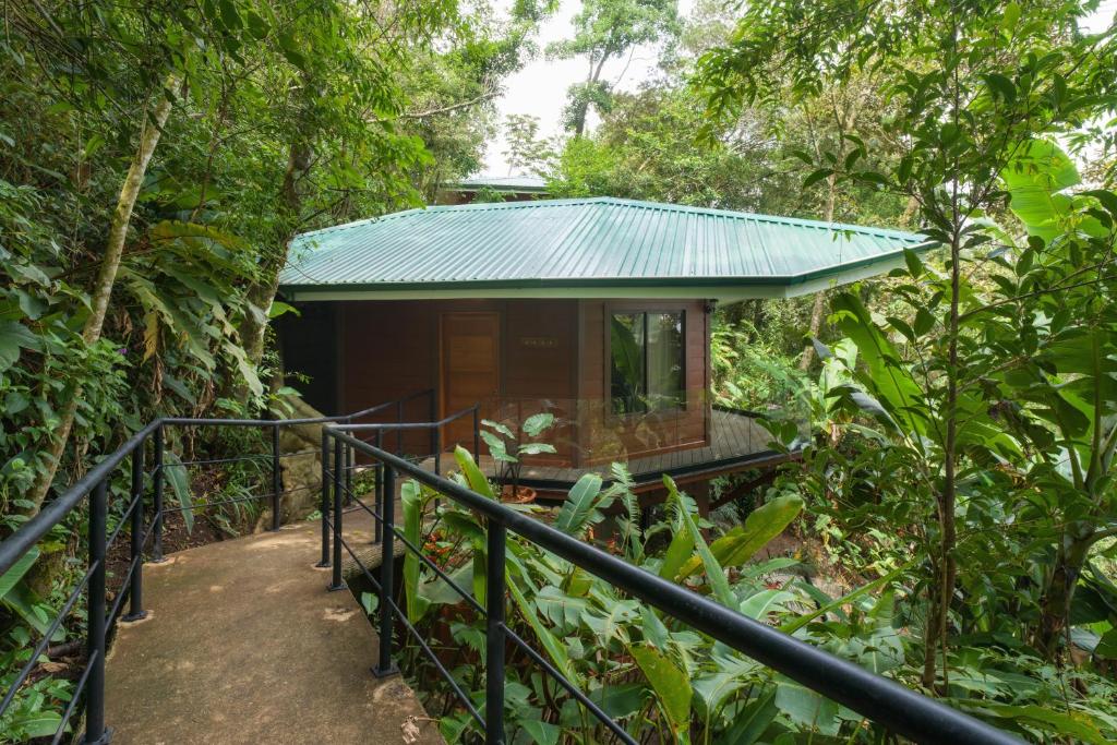 Koora Monteverde-a Cloud Forest Hotel by Sandglass في مونتيفيردي كوستاريكا: منزل صغير وسط غابة