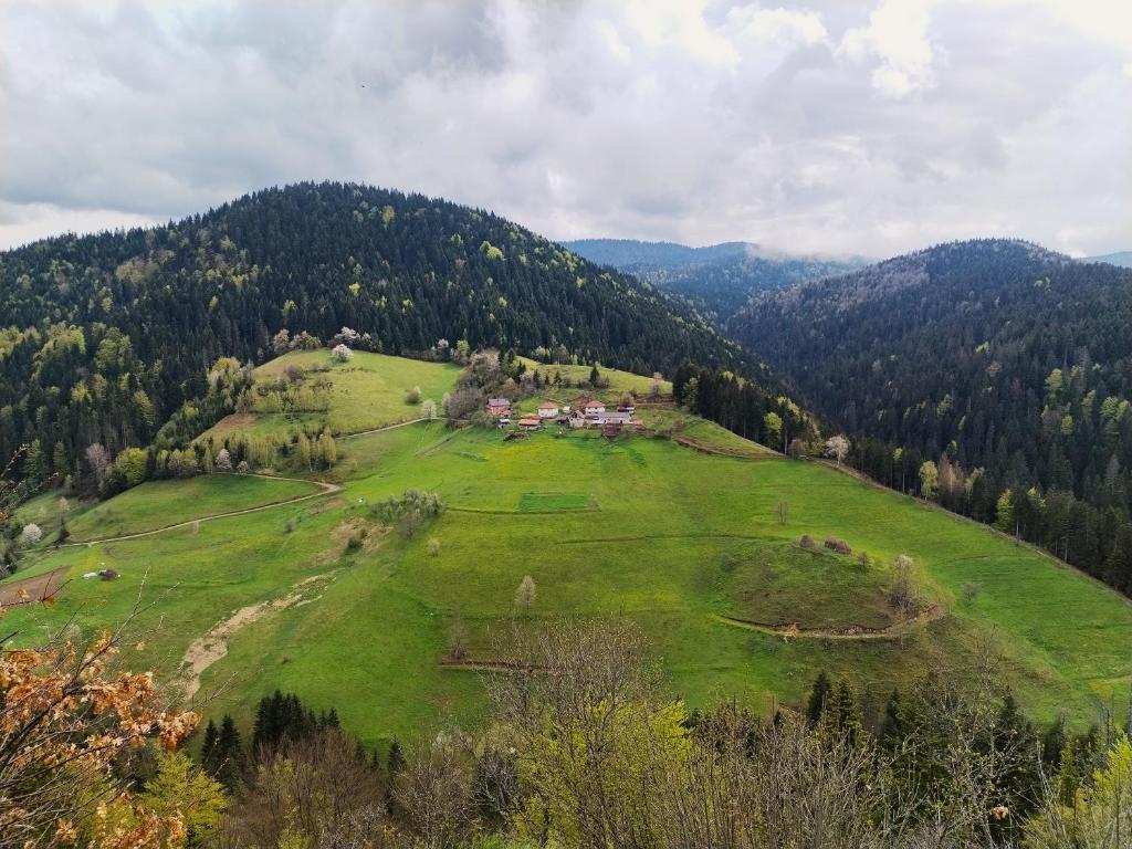 Příroda nedaleko apartmánu