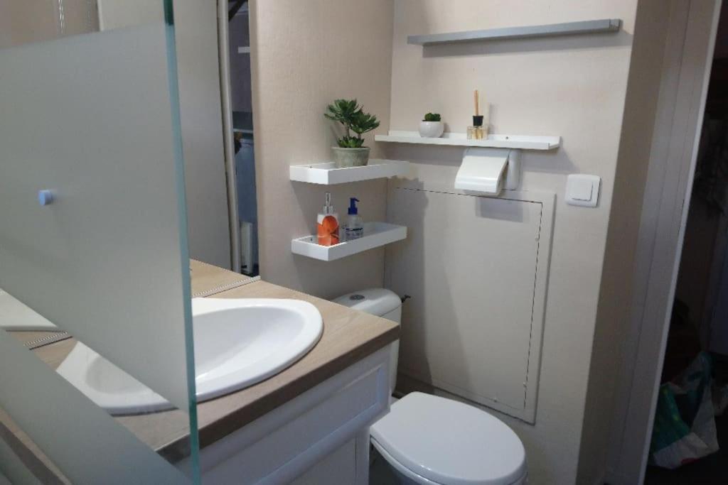 a bathroom with a white toilet and a sink at Charmant T1bis pied des pistes à Vars les Claux Résidence les Fibieres in Vars