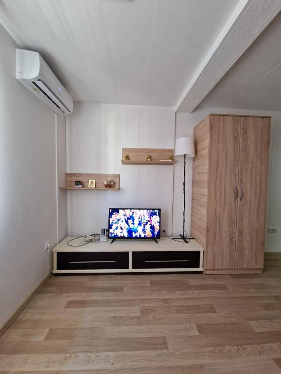 TV a/nebo společenská místnost v ubytování Studio Petrovac