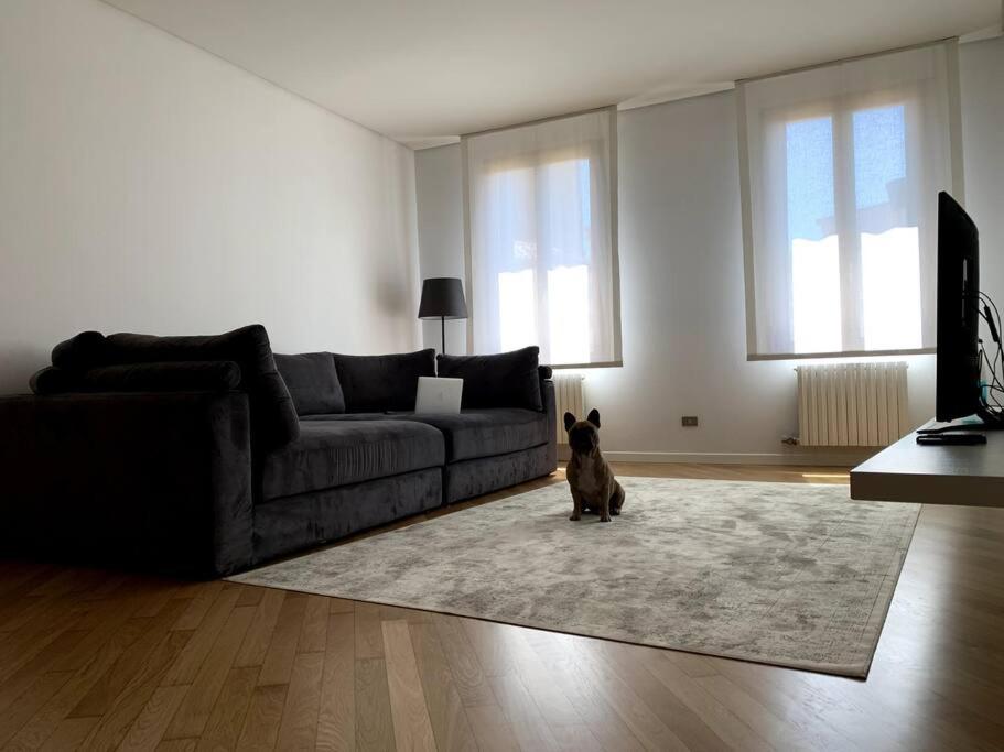 un perro sentado en una alfombra en una sala de estar en Your Loft - Treviso, en Treviso