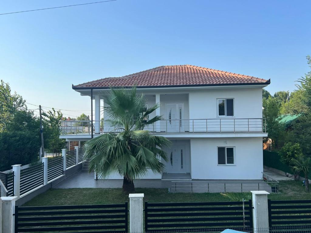 a white house with a palm tree in front of it at Residence Mary in Velipojë