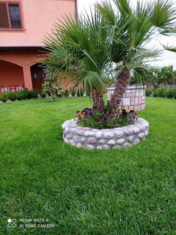 The Garden Guest House - Imazhi 6