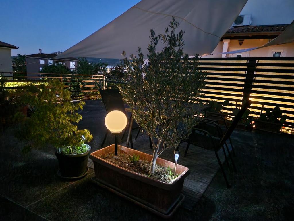 Zahrada ubytování Rosemary Apartment