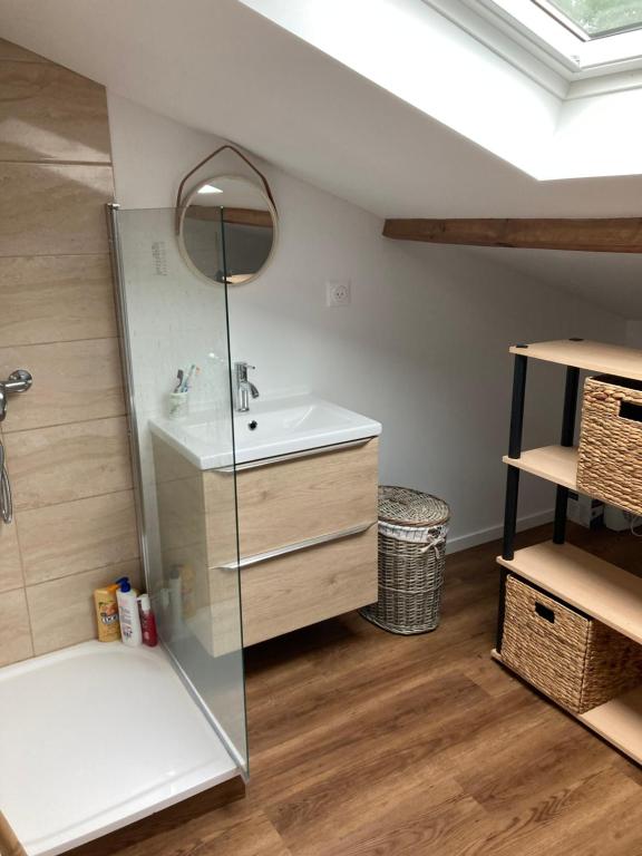 une salle de bain avec un lavabo et une douche en verre dans l'établissement Appartement cosy avec grande terrasse, à Mimizan