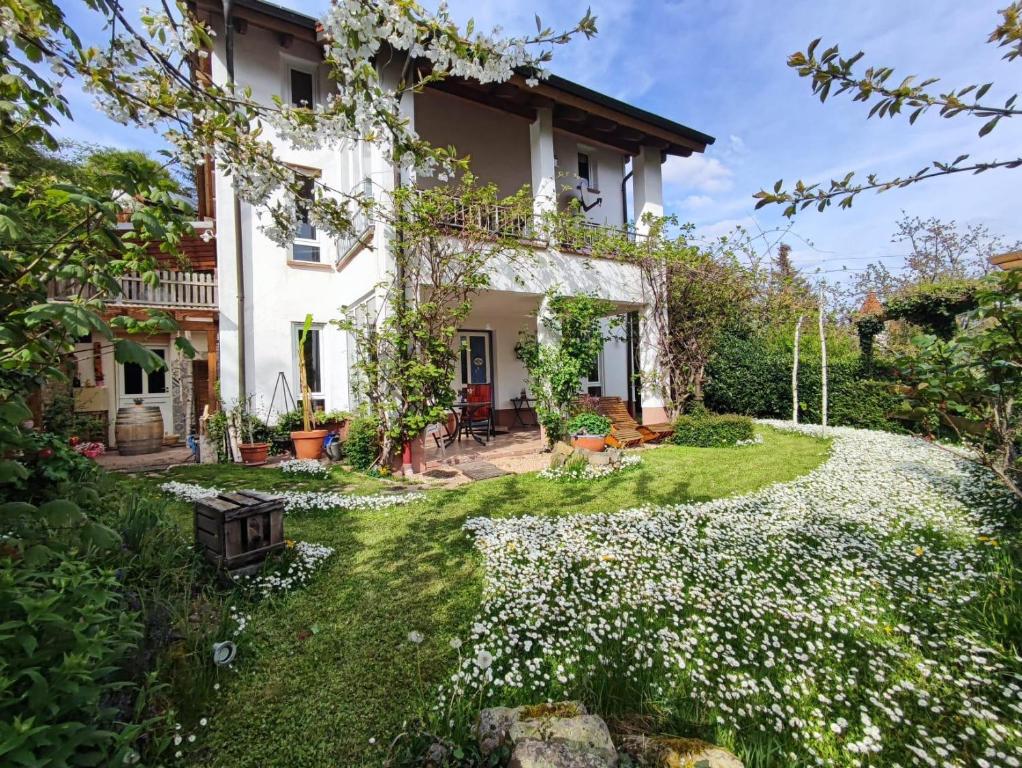 a garden with white flowers in front of a house at Ferienwohnung "Dorfblick" in Leinsweiler