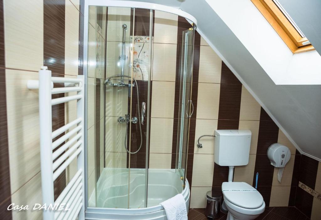 un baño con ducha y WC en Casa Daniel, en Bran