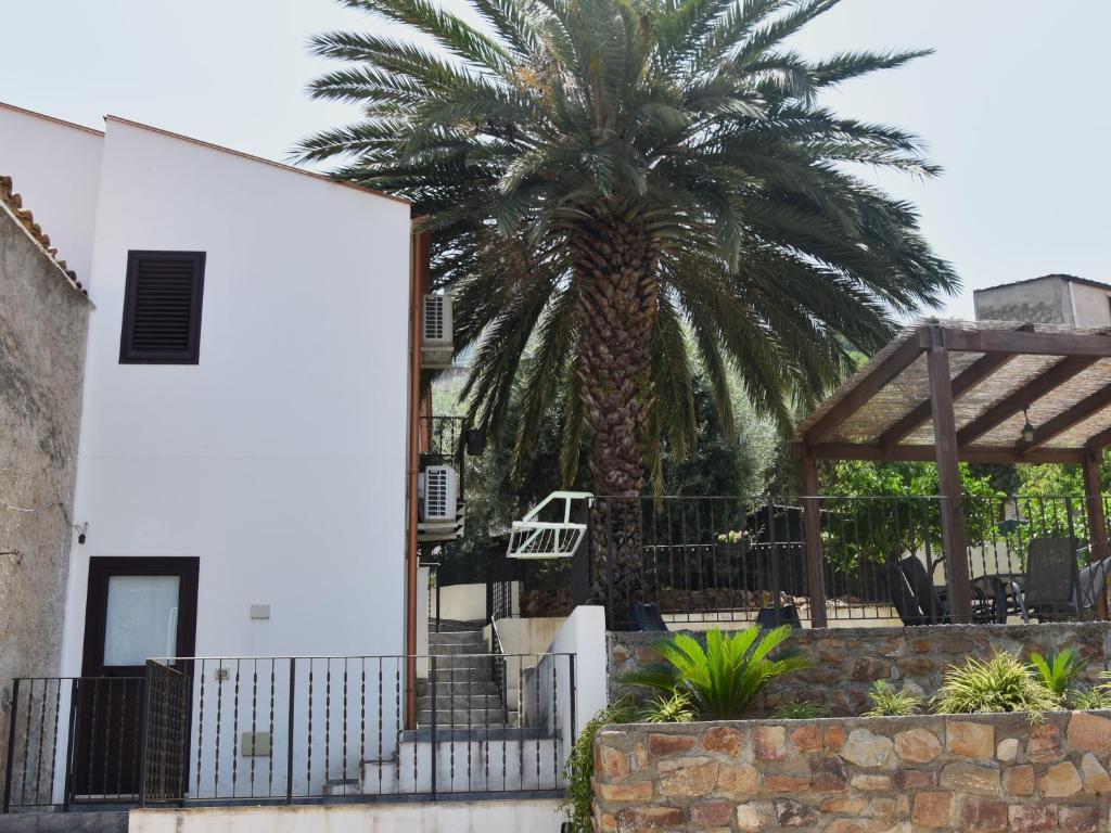 a palm tree in front of a white building at Dolce Vacanza in Cefalù