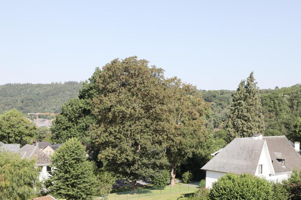 Příroda nedaleko bed and breakfast