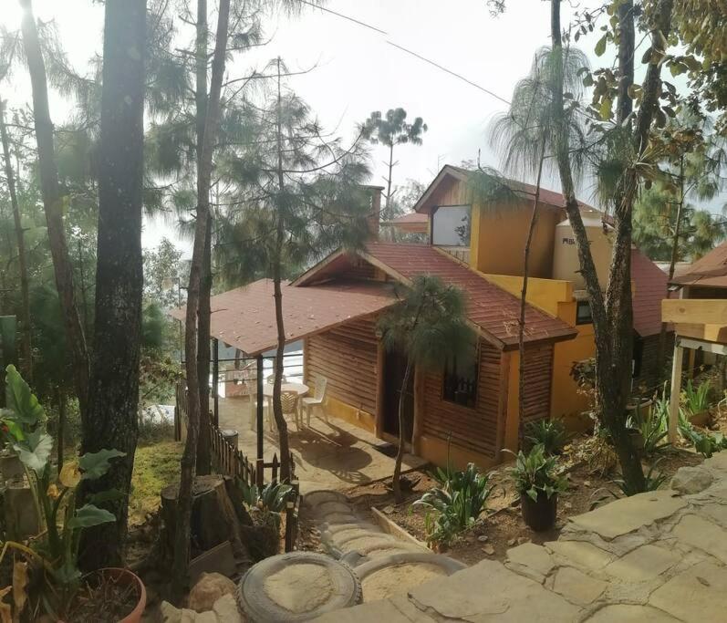 聖克里斯托瓦爾－德拉斯卡薩斯的住宿－LIN K'AK' Cabaña San Cristobal de las casas，森林中间的小木房子