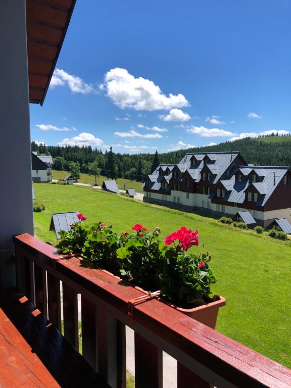 Galeriebild der Unterkunft Apartmán Horní Mísečky F11 - Horský svět in Horní Mísečky