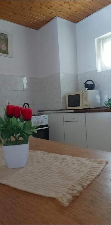 Badacsonyi privát bérlemény 8257 Badacsonytomaj, Mandulás utca 40 kép - 1