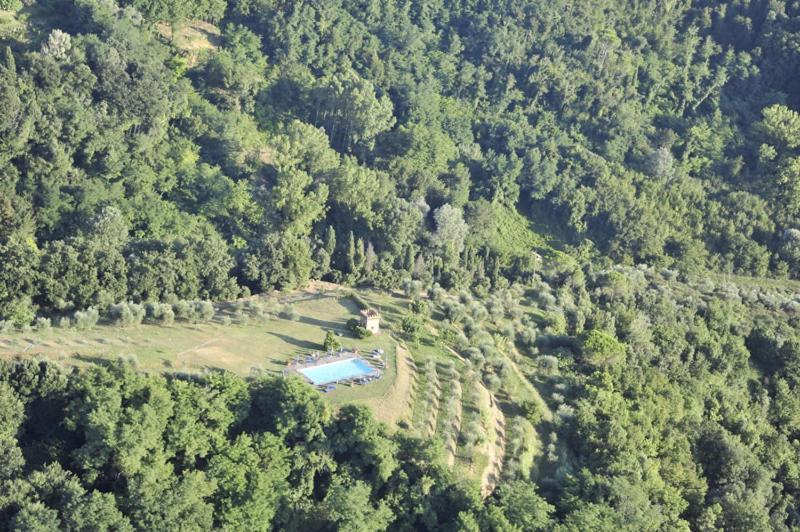Vue aérienne d'une maison au milieu d'une forêt dans l'établissement Agriturismo La Palazzina, à Palaia