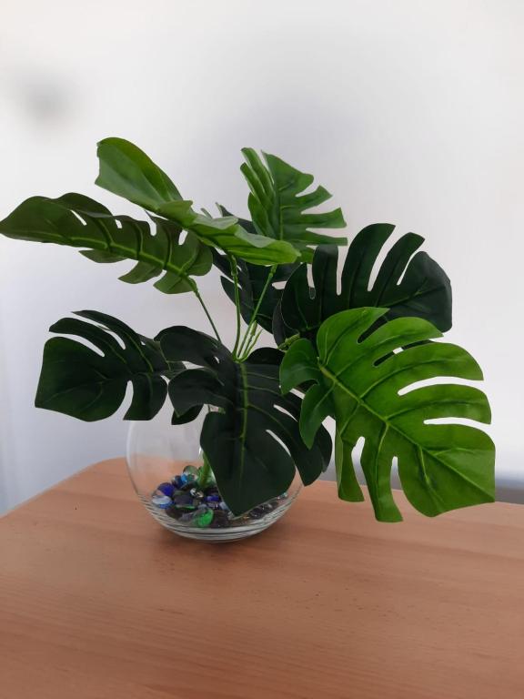 CITY PARK Apartment, Constanţa (updated prices 2024)