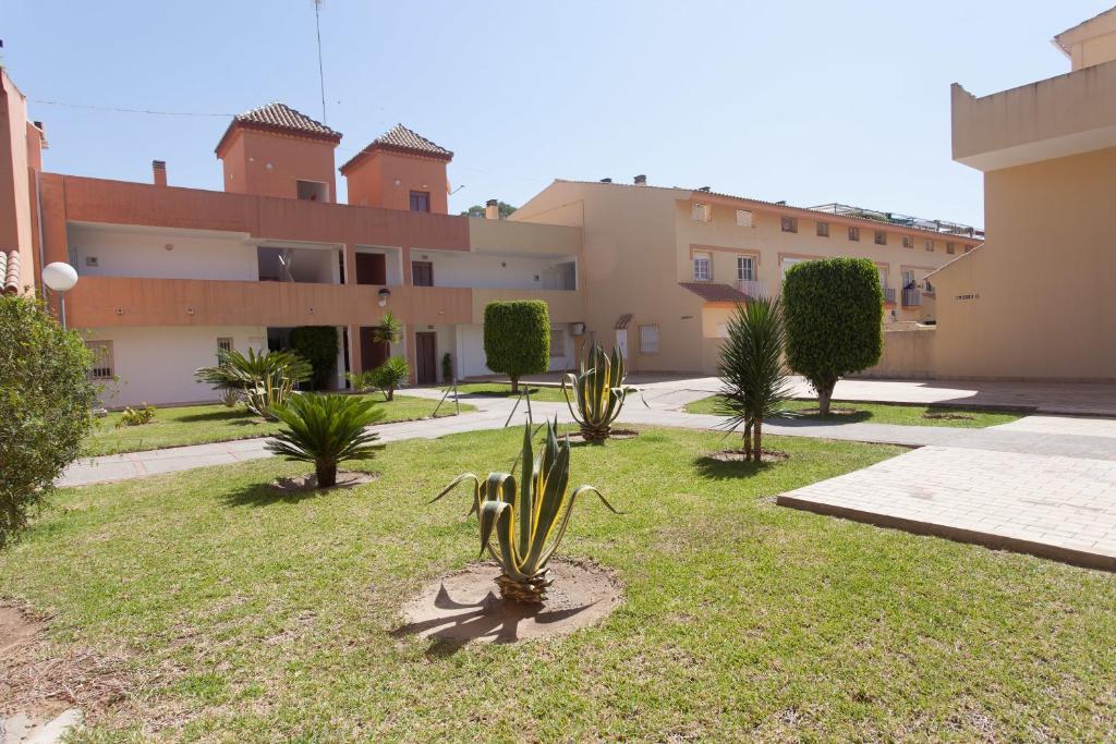 un grupo de plantas en un patio frente a un edificio en Mare Nostrum Apartments, en El Puerto de Santa María