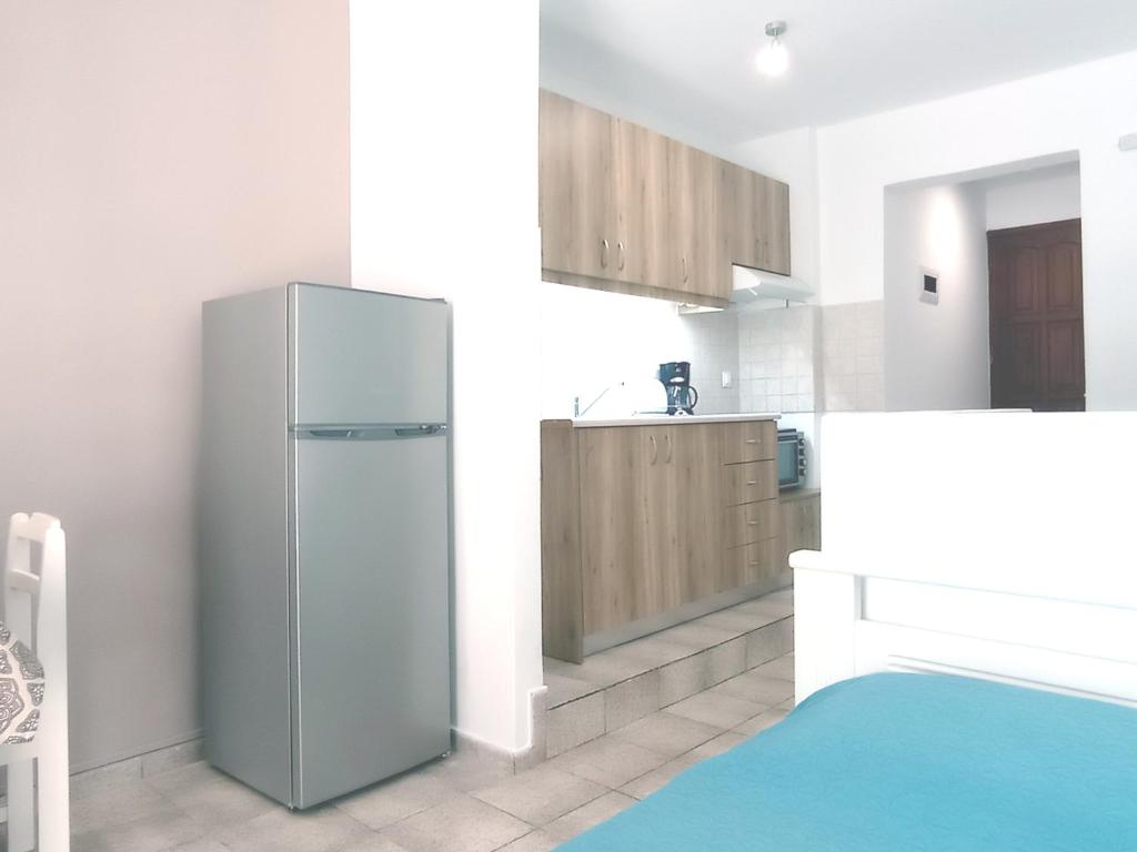 Kuchyň nebo kuchyňský kout v ubytování Flower Apartments