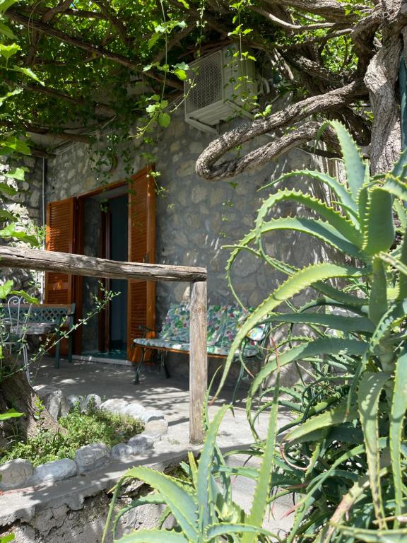 Сад в La Dolce Vita a Positano boutique hotel