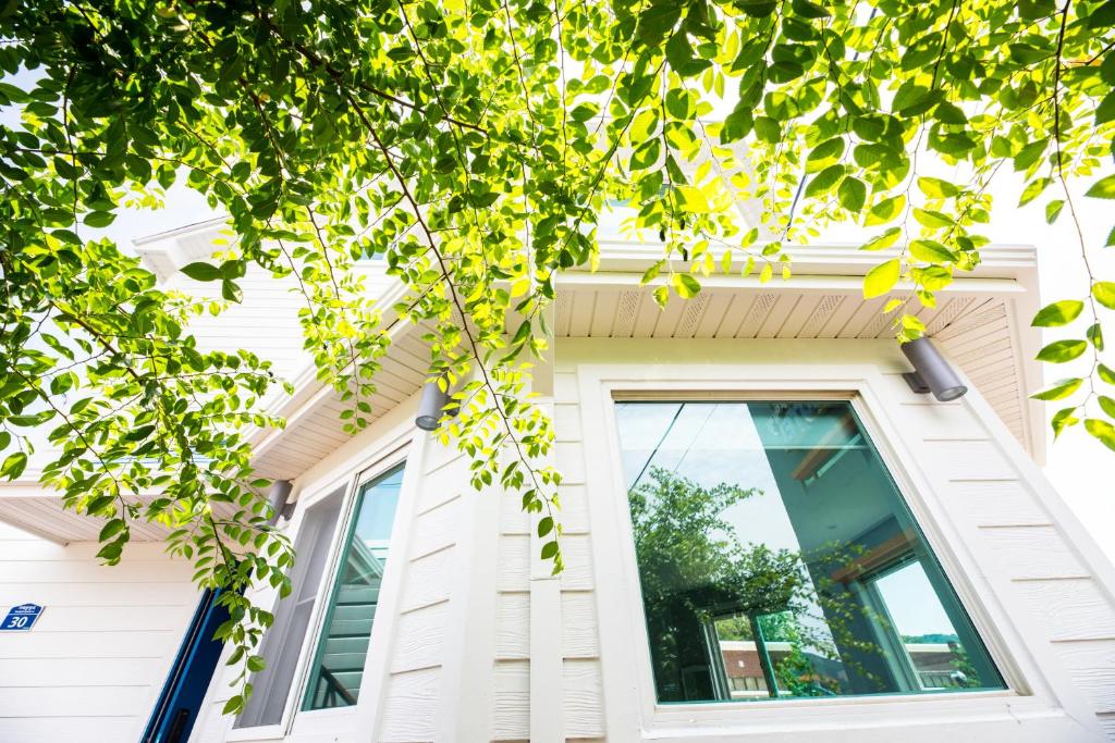 Ảnh trong thư viện ảnh của Leve de Mongdol Pension ở Geoje