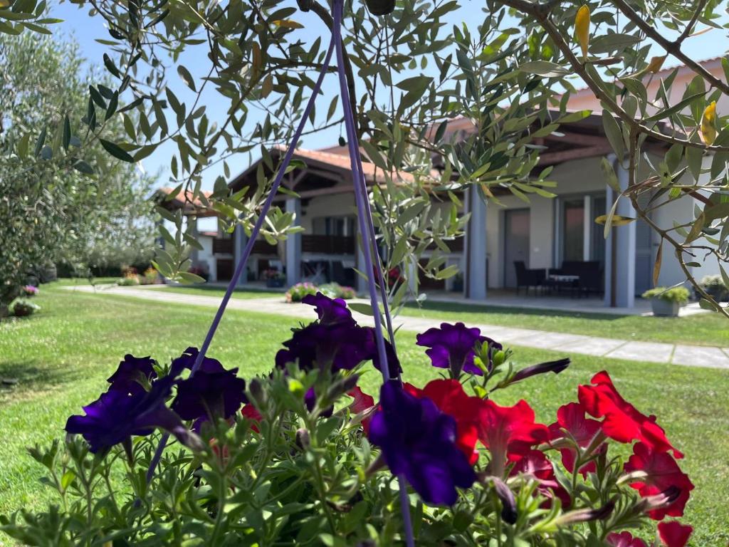 Residence la Pace - Pool & Relax