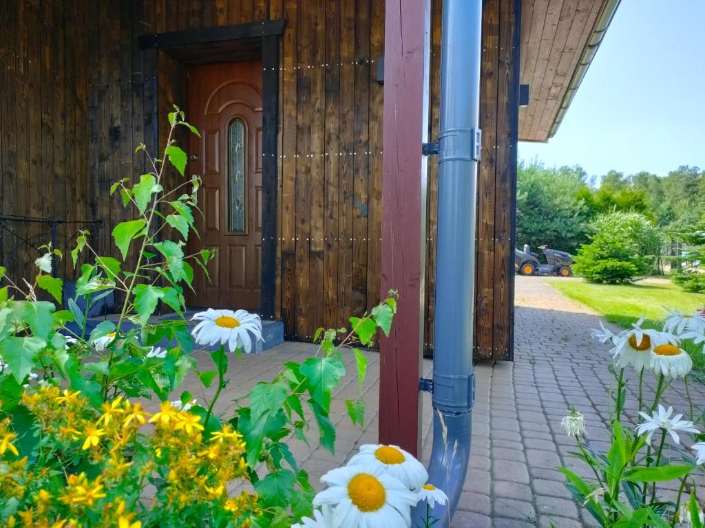 Vonkajšia záhrada v ubytovaní Słoneczna Polana Słajszewo domek Karolina