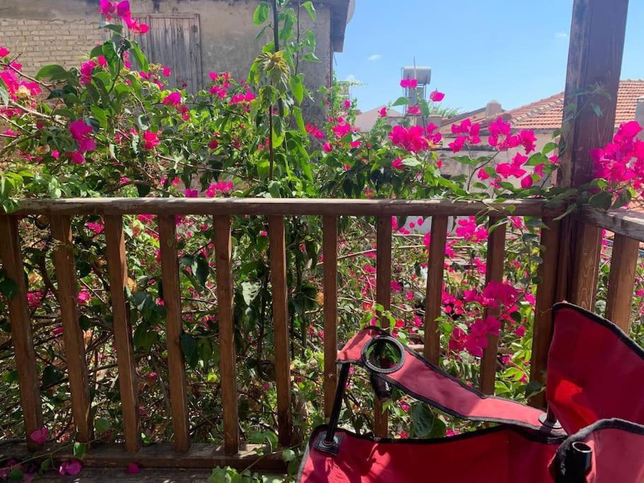 Begonviller içinde şirin bir ev