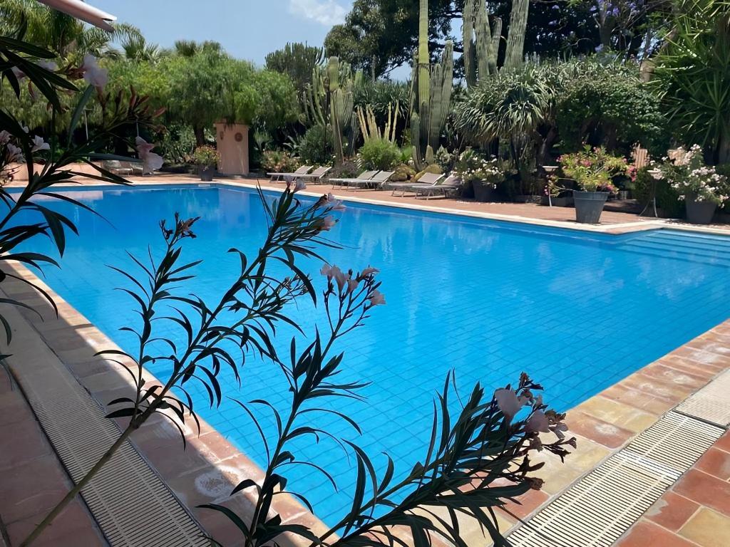 a blue swimming pool with plants in the foreground at Agriturismo Gianferrante in Paterno