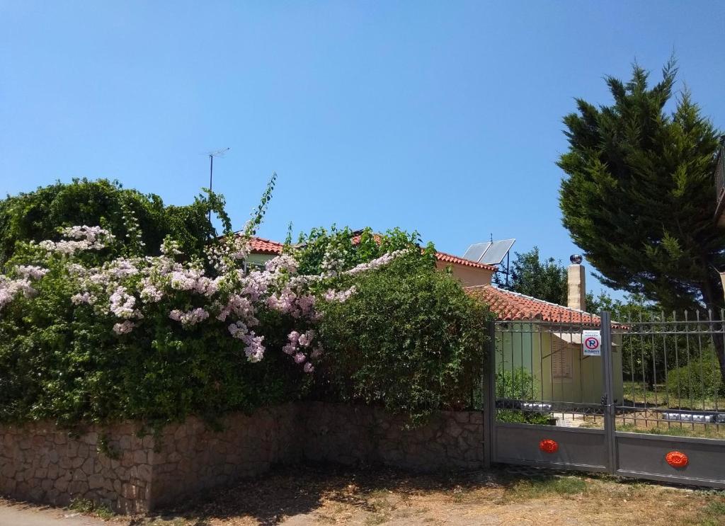 Vonkajšia záhrada v ubytovaní Ευχάριστο σπίτι με ωραίο κήπο