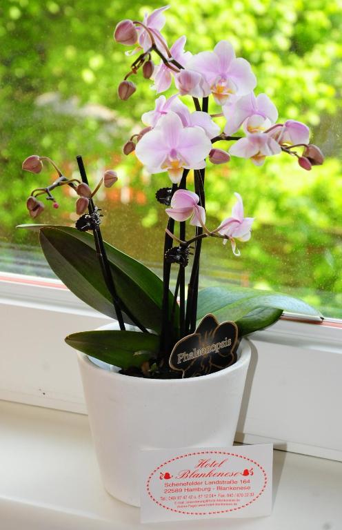 Hotel Blankenese - Resim 28